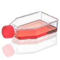 Cell Culture Flask, Tissue Culture Treated, 75cm2, Plug Cap, Sterile