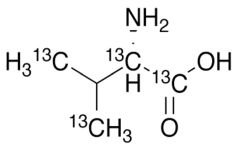 L-Valine-13C5,15N