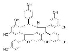 RCLCFN97082