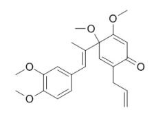 RCLCFN96307