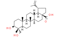 23-Hydroxybetulinic acid