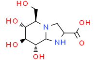 Nuezhenoside G13