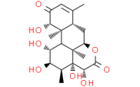 14,15-beta-dihydroxyklaineanone