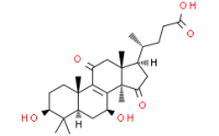 Lucidenic acid LM1;