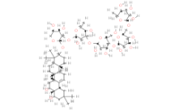oleanolic acid 3-O-alpha-L-rhamnopyranosyl-(1?6)-beta-D-glucopyranosyl-(1?4)-beta-D-glucopyranosyl-(1?3)-alpha-L-rhamnopyranosyl-(1?2)-alpha-L-arabinopyranoside