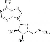 Adenosyl Methionine Impurity 1