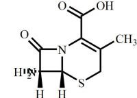 Cefadroxil EP Impurity B (Cefadroxil USP Related Compound B, Cephalexin (Cephalexin) EP Impurity B, Cefradine EP Impurity A, 7-ADCA)