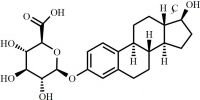 Estradiol-3-Glucuronide