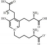 Deoxy Pyridinoline