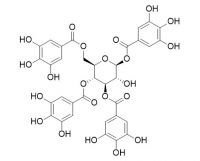 1,3,4,6-Tetragalloylglucose