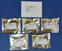 Ground Turmeric (Curcuma longa L.) Rhizome