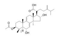 6alpha-Hydroxydehydropachymic acid