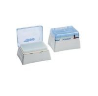 epT.I.P.S.® 384 Reloads, Eppendorf Quality™, 5 – 100 µL, 53 mm, light yellow, colorless tips