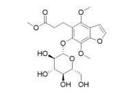 Methylpicraquassioside B