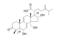 New compound 15