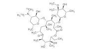 Erythromycin-N,N-dimethyl-13C2 A