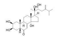 Polyporusterone B