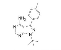 RCLCFN60305