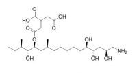 AAL Toxin TA1