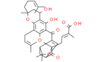 neo-gambogic acid