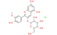 Peonidin-3-O-glucoside