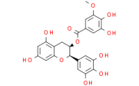 (-)-EGCG-3''-O-Me