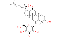 20(R)-Ginsenoside Rh1