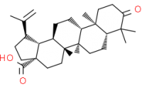 Betulonicacid