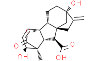 Gibberellic acid