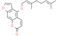 Bergamottin