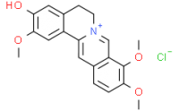 Jatrorrhizine chloride