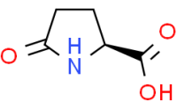 L-Pyroglutamic acid