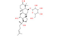 20(s)-Ginsenoside Rh1