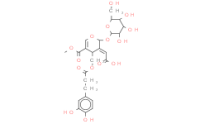 Oleuropeinic acid