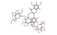 Kaempferol-3-O-(2"-O-?-D- glucopyl)-?-D–rutinoside