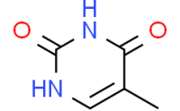 Thymine