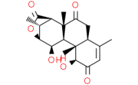 Eurycomalactone