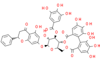 Pinocembrin 7-O-(3''-galloyl-4'',6''-(S)-hexahydroxydiphenoyl)-?-D-glucose