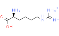 L-Homoarginine