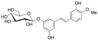 Rhapontin