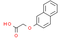 2-Naphthoxyacetic acid