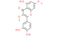 Quercetin 3,7-dimethyl ether