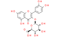 Quercetin 3-O-?-D-Glucuronide