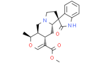 Isomitraphylline