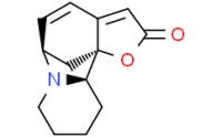 Allosecurinin