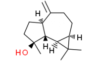 Spathulenol