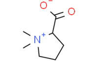 Stachydrine