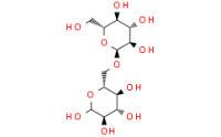 IsoMaltose