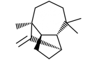 (+)-Longifolen