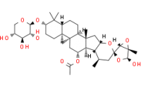 Actein